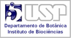 N&atilde;o v&ecirc; essa imagem? Ent&atilde;o clique aqui com bot&atilde;o direito do mouse e depois em Mostrar Imagem.